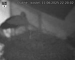 Capi_Dubne_20250611_222002.jpg