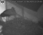 Capi_Dubne_20250611_222503.jpg