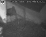 Capi_Dubne_20250611_225002.jpg