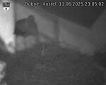 Capi_Dubne_20250611_230502.jpg