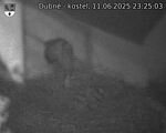 Capi_Dubne_20250611_232503.jpg