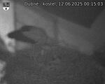 Capi_Dubne_20250612_001503.jpg