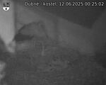 Capi_Dubne_20250612_002502.jpg