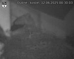 Capi_Dubne_20250612_003003.jpg