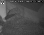 Capi_Dubne_20250612_011003.jpg