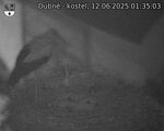 Capi_Dubne_20250612_013503.jpg