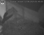 Capi_Dubne_20250612_014503.jpg