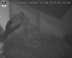 Capi_Dubne_20250612_021002.jpg