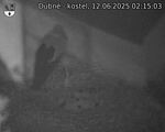 Capi_Dubne_20250612_021503.jpg