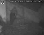 Capi_Dubne_20250612_022002.jpg