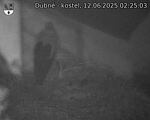 Capi_Dubne_20250612_022503.jpg