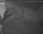 Capi_Dubne_20250612_023002.jpg