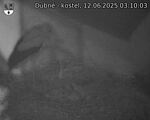Capi_Dubne_20250612_031003.jpg