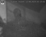 Capi_Dubne_20250612_031502.jpg