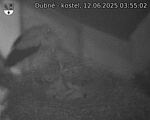 Capi_Dubne_20250612_035502.jpg