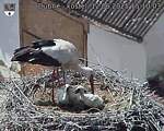 Capi_Dubne_20250612_151003.jpg