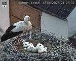 Capi_Dubne_20250612_212502.jpg