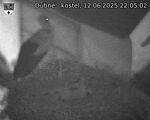 Capi_Dubne_20250612_220502.jpg
