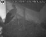 Capi_Dubne_20250612_221003.jpg