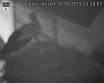 Capi_Dubne_20250612_222002.jpg
