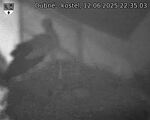 Capi_Dubne_20250612_223503.jpg