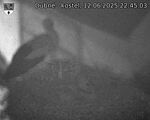 Capi_Dubne_20250612_224503.jpg