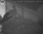 Capi_Dubne_20250612_230003.jpg