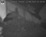 Capi_Dubne_20250612_231002.jpg