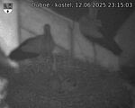 Capi_Dubne_20250612_231503.jpg