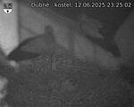 Capi_Dubne_20250612_232502.jpg