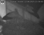 Capi_Dubne_20250612_233003.jpg