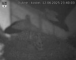 Capi_Dubne_20250612_234003.jpg