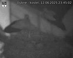 Capi_Dubne_20250612_234502.jpg