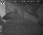 Capi_Dubne_20250612_235002.jpg