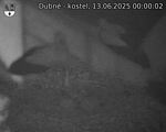 Capi_Dubne_20250613_000002.jpg