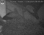 Capi_Dubne_20250613_000503.jpg