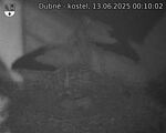 Capi_Dubne_20250613_001002.jpg