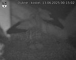 Capi_Dubne_20250613_001502.jpg