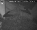 Capi_Dubne_20250613_002003.jpg
