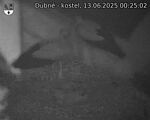 Capi_Dubne_20250613_002502.jpg