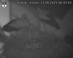 Capi_Dubne_20250613_004502.jpg