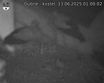 Capi_Dubne_20250613_010002.jpg