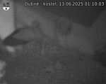 Capi_Dubne_20250613_011003.jpg