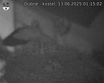 Capi_Dubne_20250613_011502.jpg