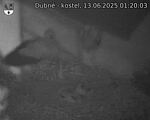 Capi_Dubne_20250613_012003.jpg