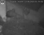 Capi_Dubne_20250613_015502.jpg