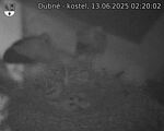 Capi_Dubne_20250613_022002.jpg
