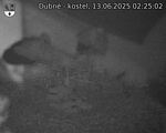Capi_Dubne_20250613_022502.jpg