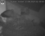 Capi_Dubne_20250613_023003.jpg