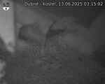 Capi_Dubne_20250613_031502.jpg